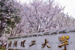 廣東MBA考研調(diào)劑武漢理工大學(xué)有什么條件？
